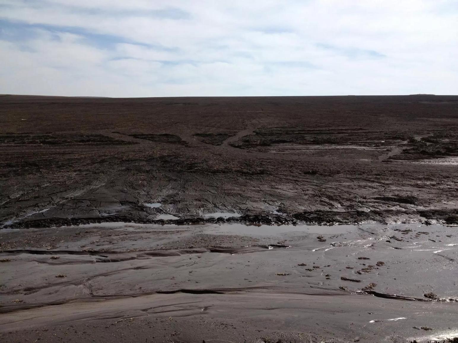 Черный пар, черный пар (поется нараспев, на мотив песни Зимний сад)...