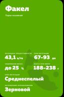 Факел сорт гороха на зерно