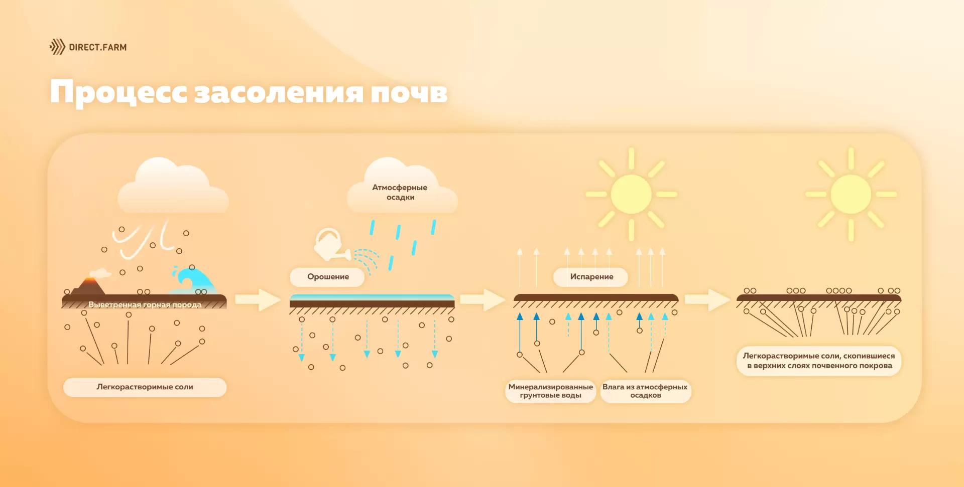 Засоление почв