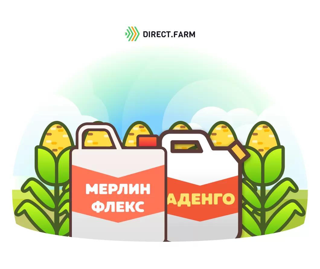 Применение гербицидов на кукурузе