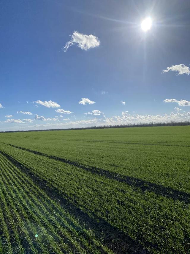 Путь молодого агронома #2