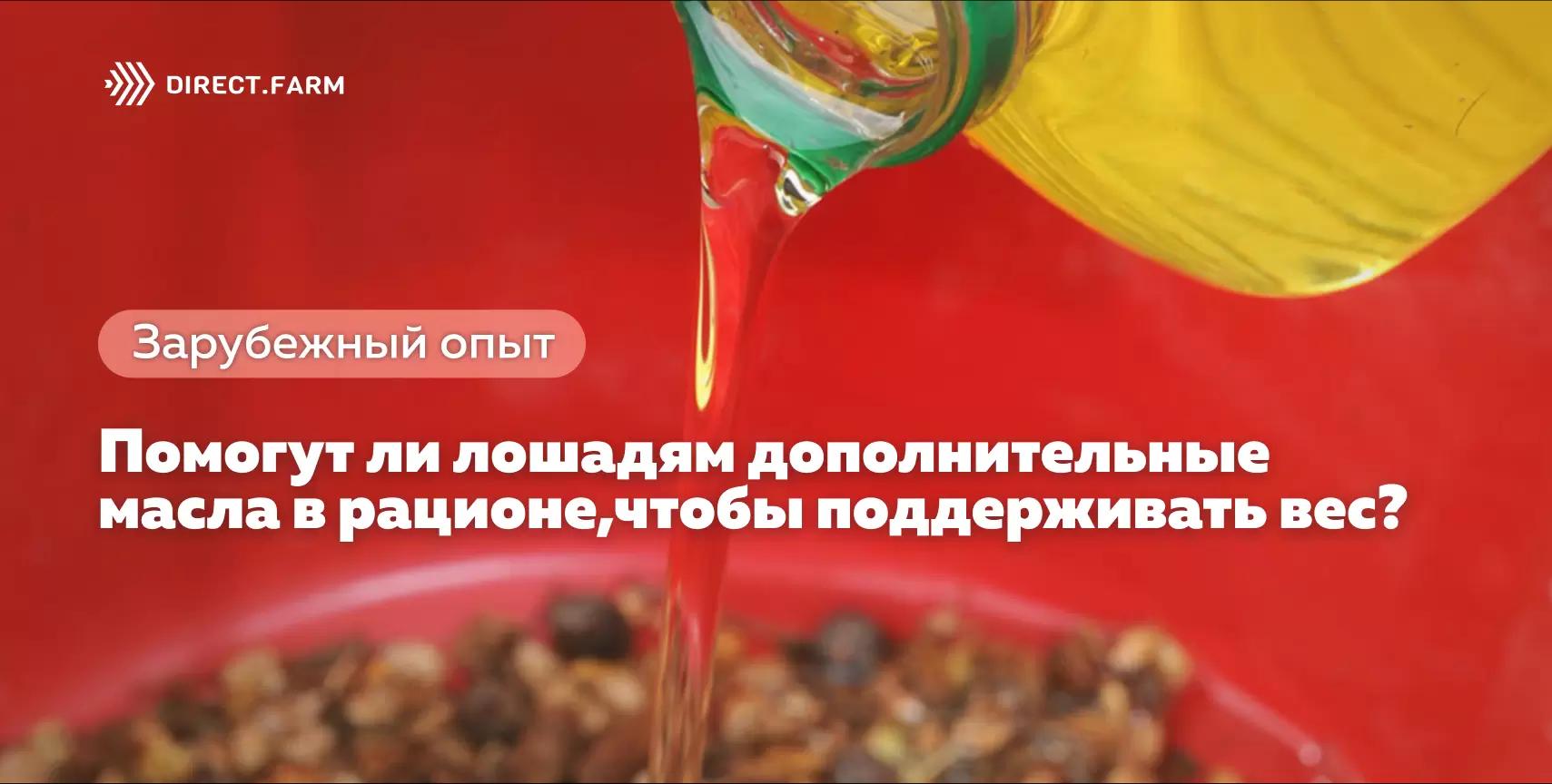 Помогут ли лошадям дополнительные масла в рационе, чтобы поддерживать вес?