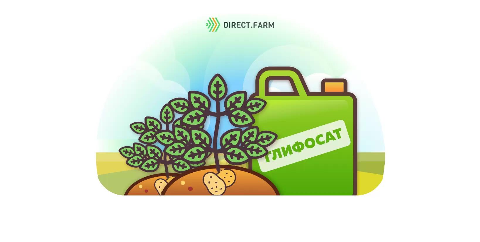 Как вносить глифосат перед посадкой картофеля?