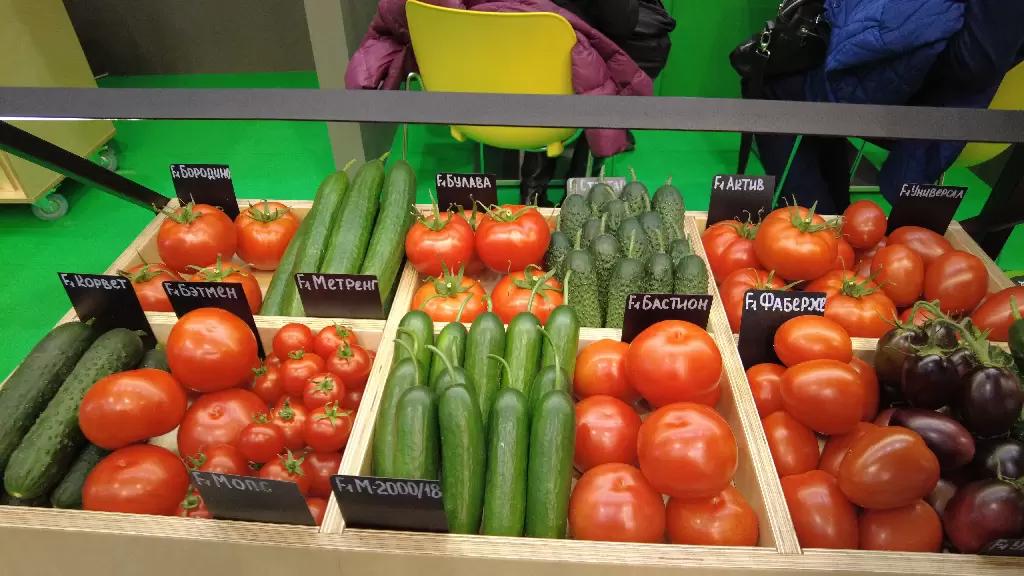 Применение биологической защиты на овощных культурах