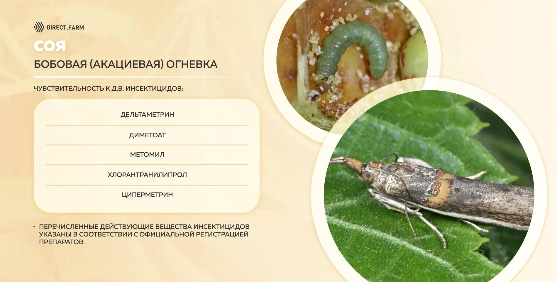 Шпаргалка д.в. против бобовой (акациевой) огневки