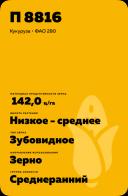 П 8816 - гибрид кукурузы Пионер