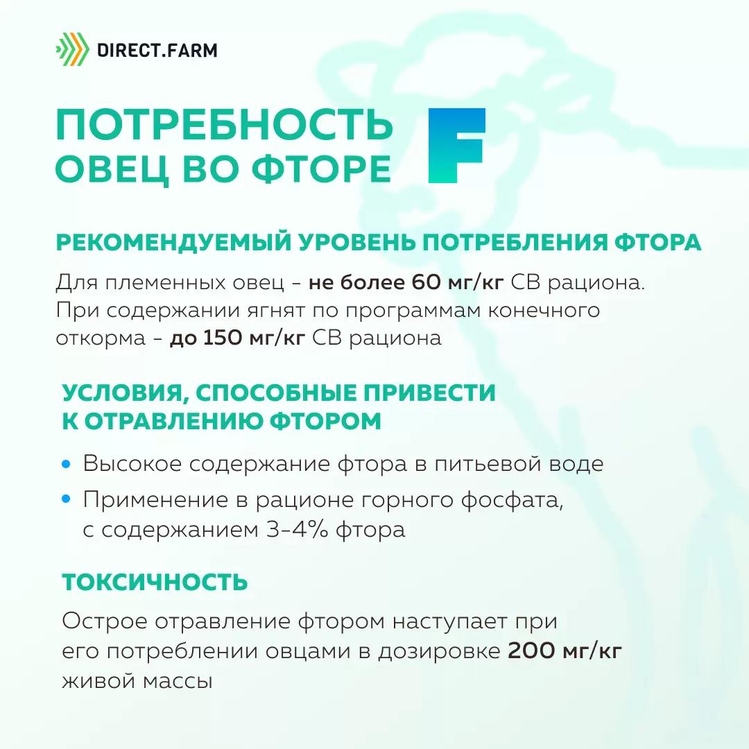 Потребность овец во фторе