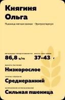 Княгиня Ольга