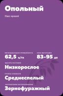 Опольный сорт овса ярового