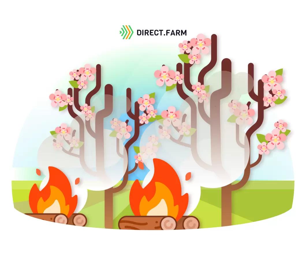 Улучшение зимостойкости плодовых почек и защита сада от заморозков при цветении