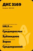ДКС 3169 гибрид кукурузы
