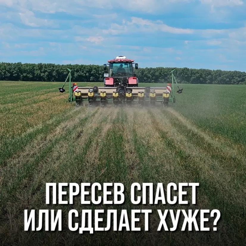 ПЕРЕСЕВ НАС СПАСЕТ ИЛИ СДЕЛАЕТ ХУЖЕ?