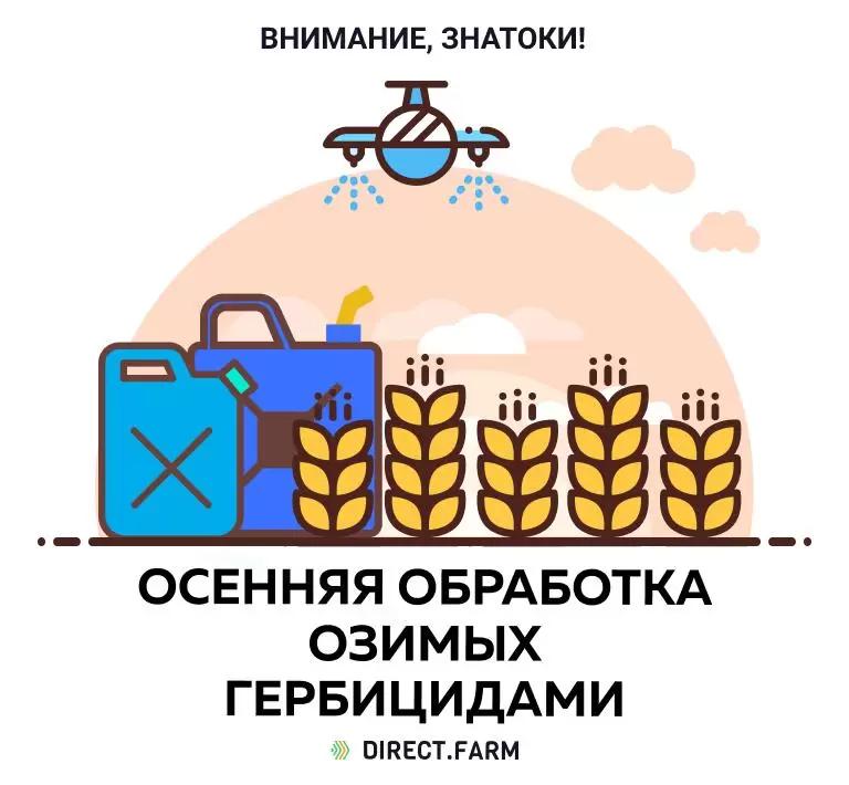 Когда целесообразно применять гербициды осенью по вегетации озимых культур?