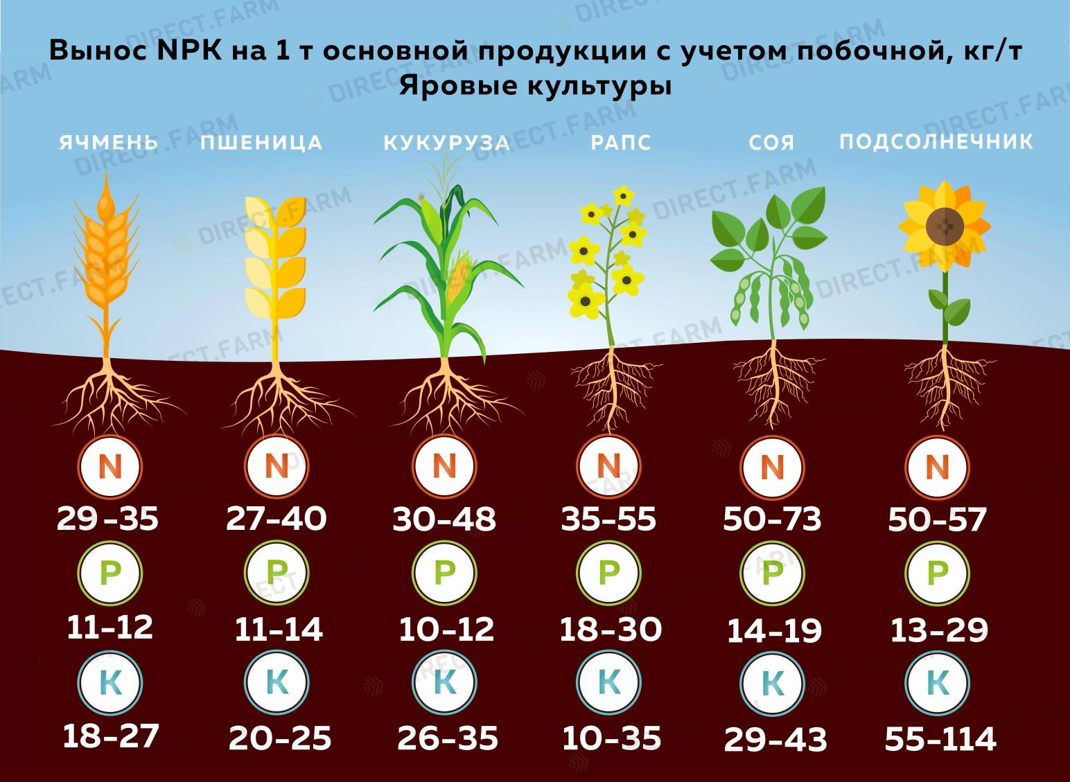 Вынос элементов питания яровыми культурами