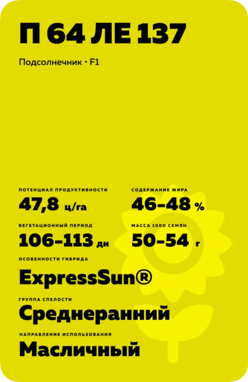 П 64 ЛЕ 153 - гибрид подсолнечника