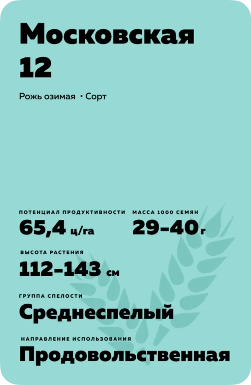 Московская 12 рожь озимая