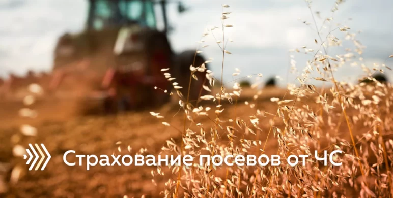 Система страхования урожая от ЧС в РФ. Нужен ли этот  инструмент аграриям?