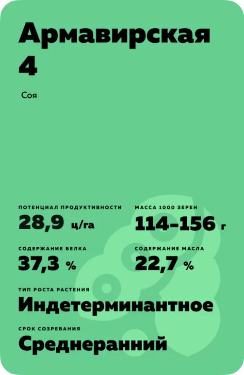 Армавирская 4