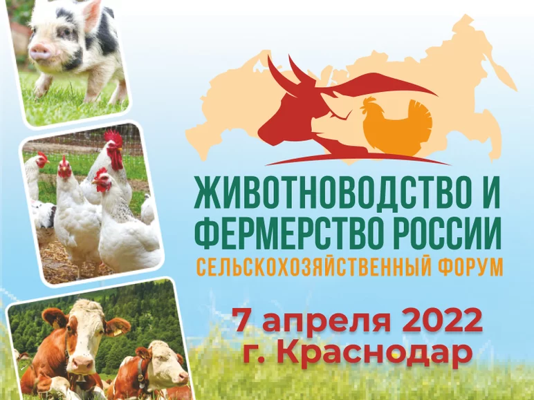 Форум "Животноводство и фермерство России – 2022" пройдет 8 декабря