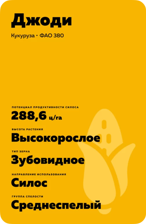 Джоди гибрид кукурузы