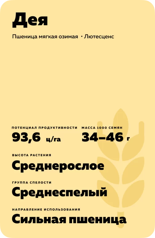 Дея сорт мягкой озимой пшеницы