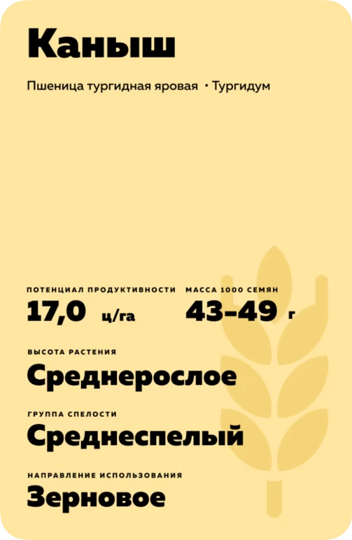 Каныш