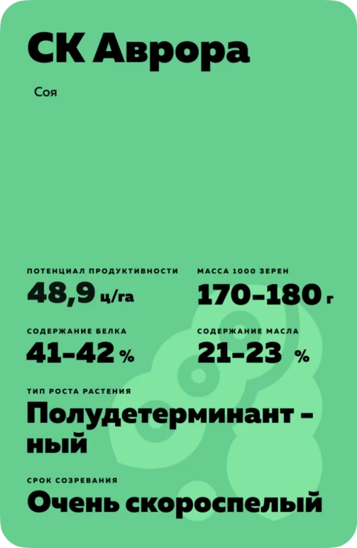 СК Аврора