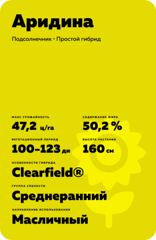 Аридина