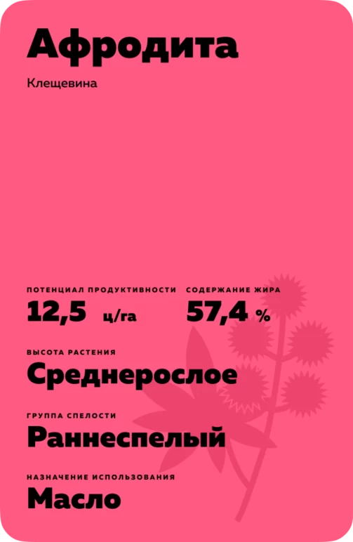 Афродита