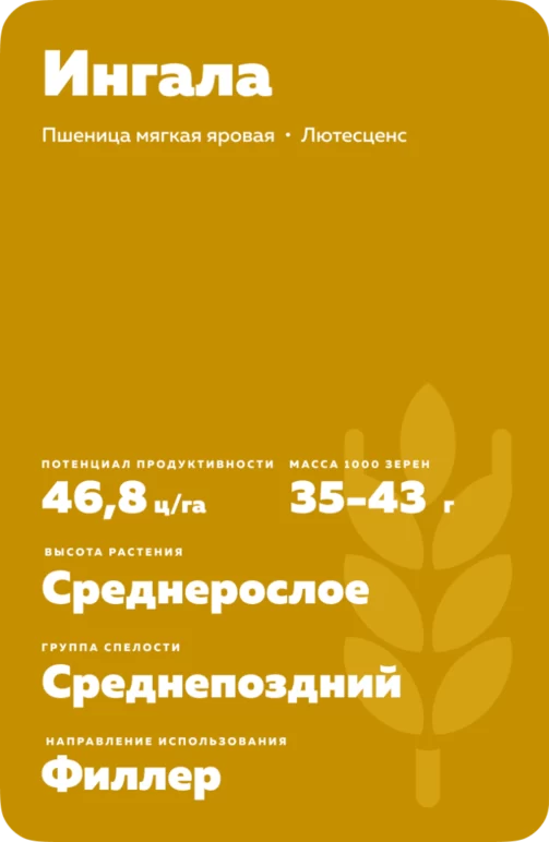 Ингала