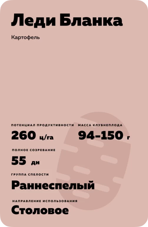 Леди Бланка