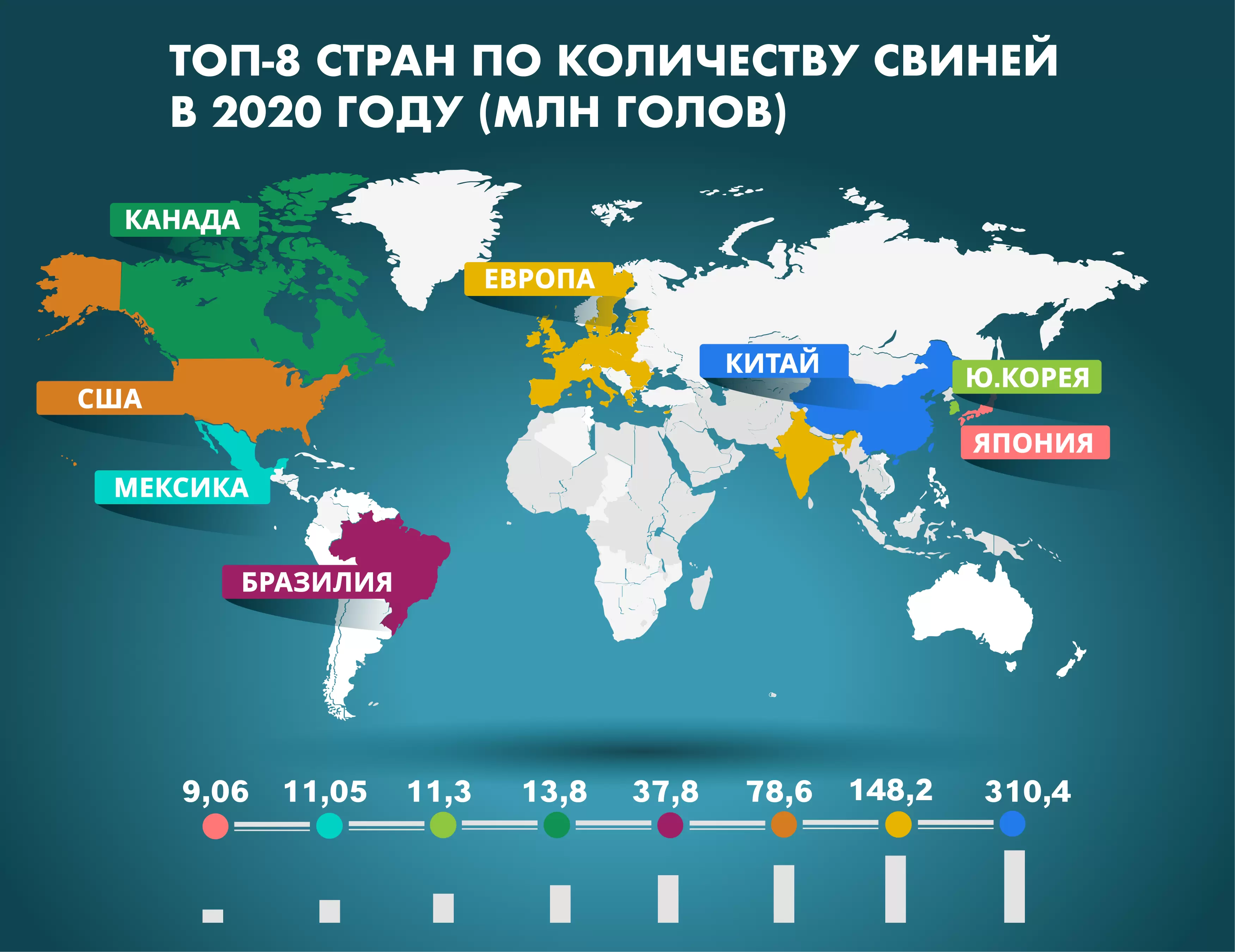 Топ-8 стран по количеству свиней в 2020 году