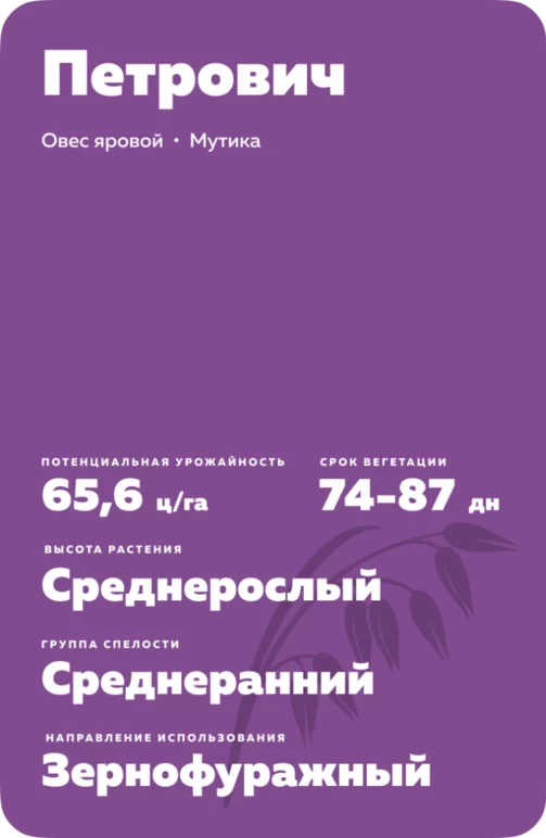 Петрович сорт овса ярового
