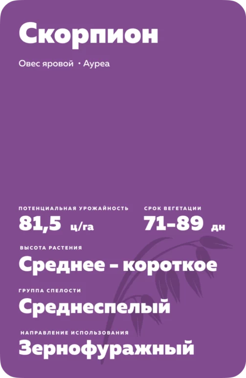 Скорпион (SCORPION)