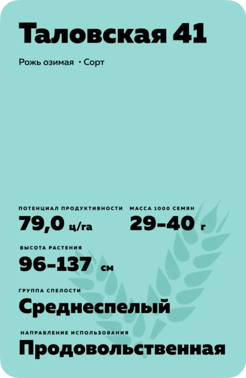 Таловская 41 рожь озимая