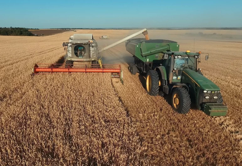 Какой способ вывоза зерна с поля эффективнее?