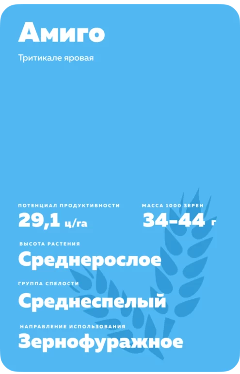 Амиго