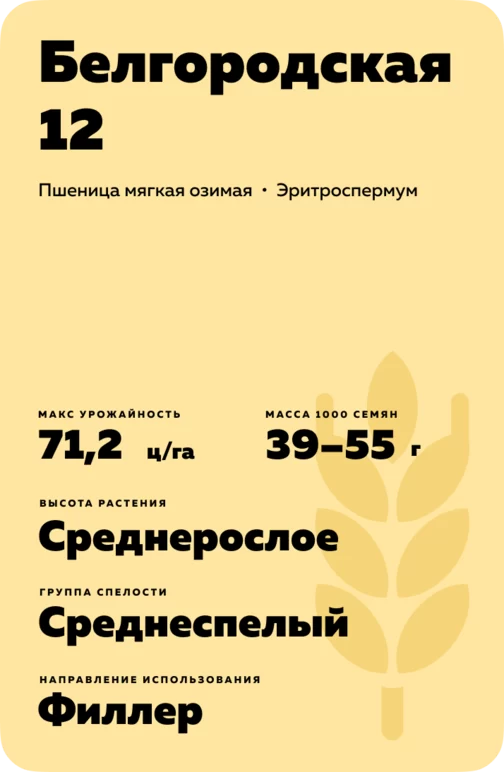 Белгородская 12 сорт мягкой озимой пшеницы