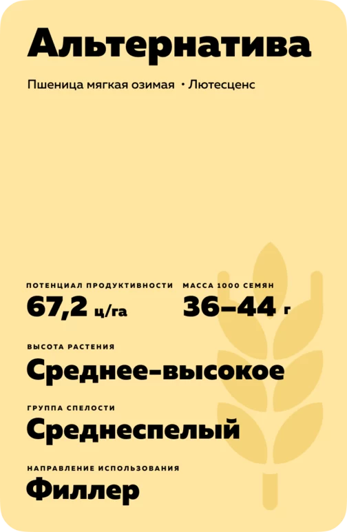 Альтернатива сорт мягкой озимой пшеницы