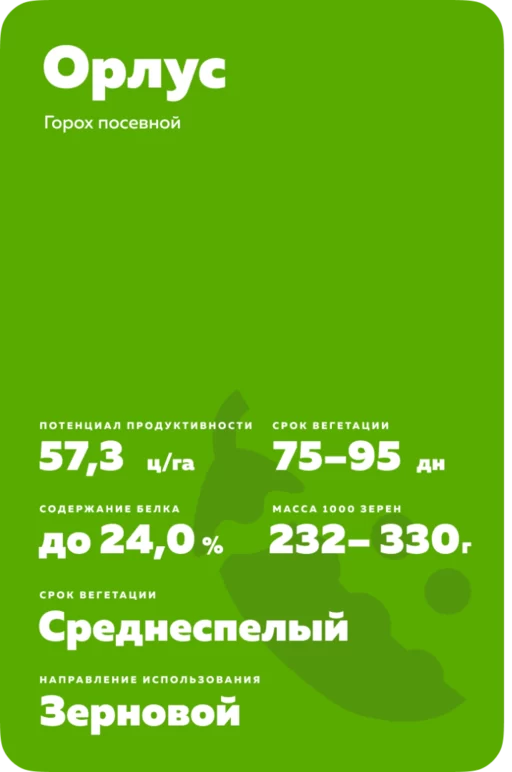 Орлус