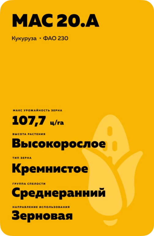 МАС 20.А (MAS 20.A) гибрид кукурузы