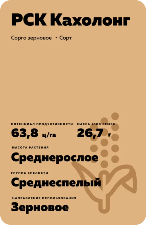 РСК Кахолонг сорго зерновое