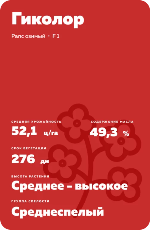 Гиколор (HYCOLOR) рапс озимый