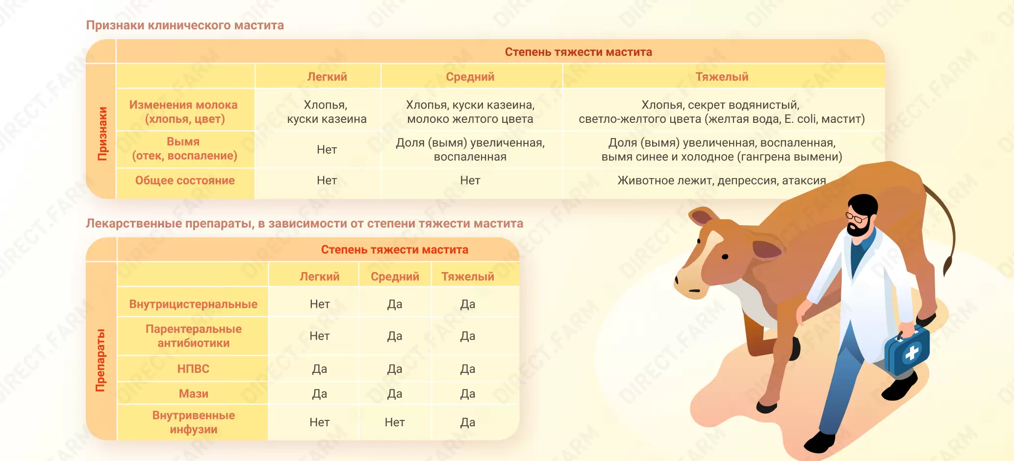 Схема лечения мастита у коров с подробным решением