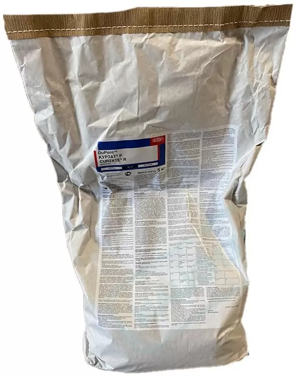 Курзат Р, СП