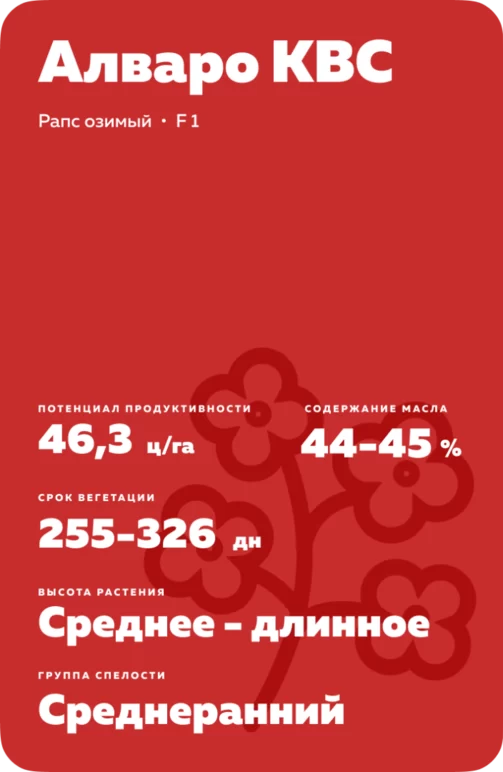 Алваро КВС (ALVARO KWS)