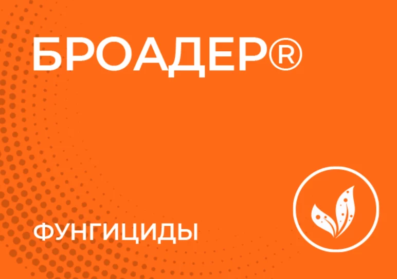 Броадер, КЭ