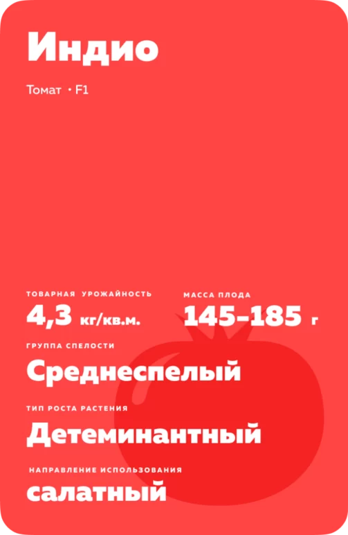 Индио F1 (INDIO)