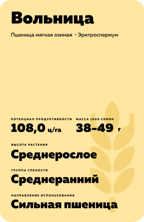 Вольница сорт пшеницы мягкой озимой