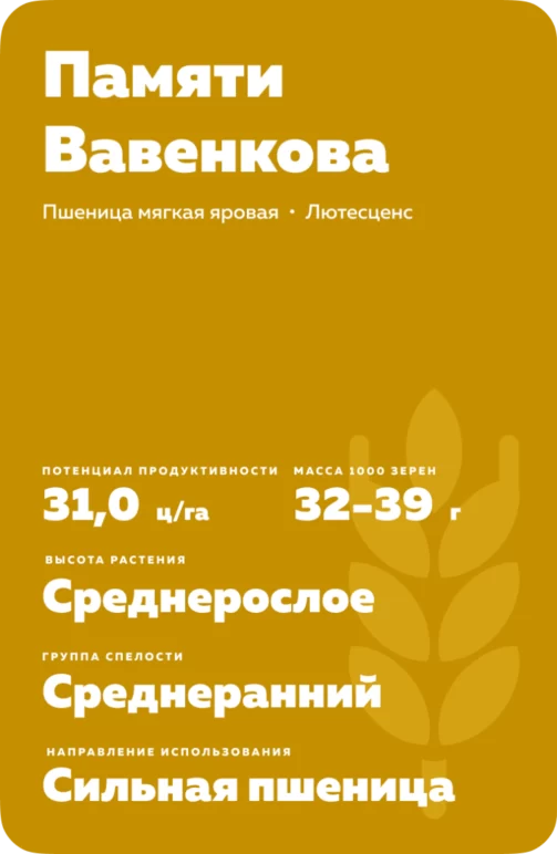 Памяти Вавенкова